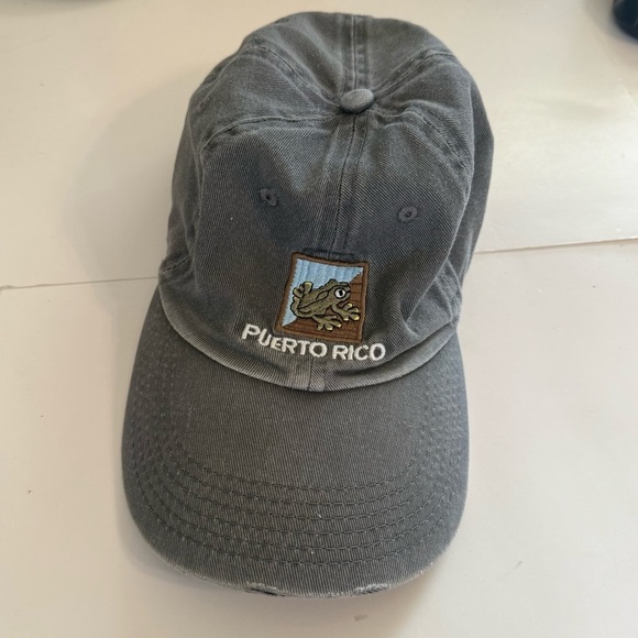 Puerto Rico Gray Lizard Gecko Embroidered Distressed Brim Cotton Cap Hat - Picture 2 of 4